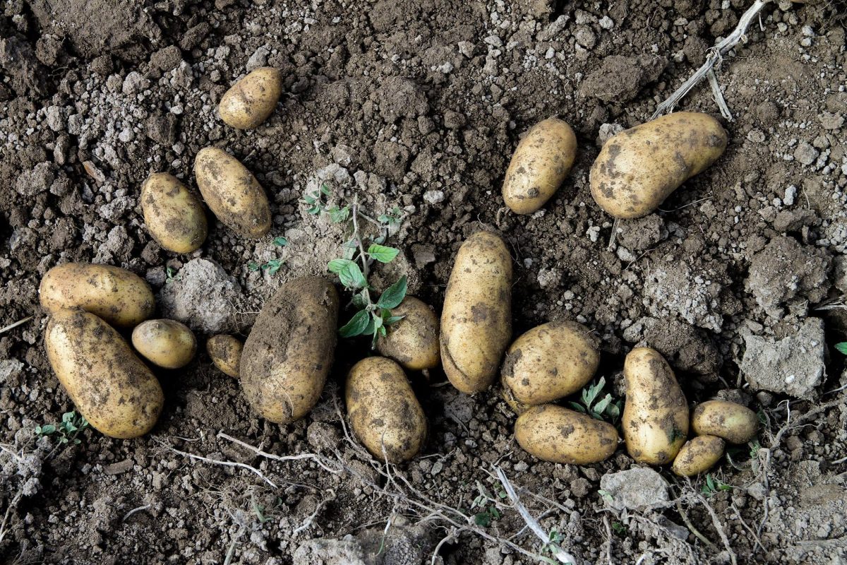 Zavod Lintvern Slike (2)